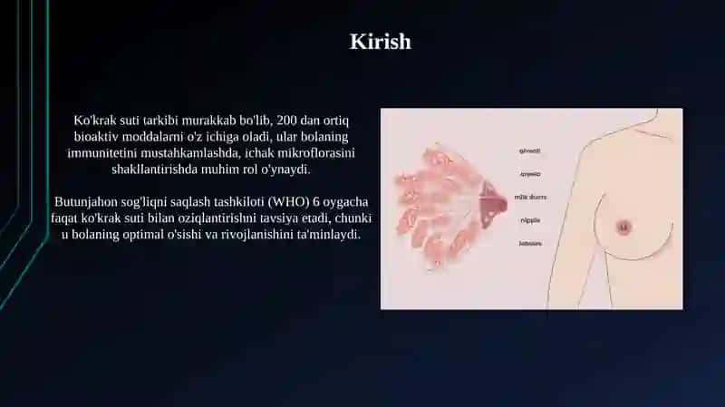 Ko'krak suti tarkibi 3