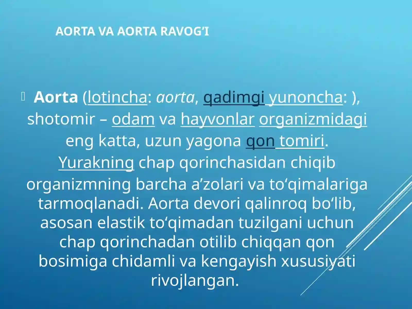 Aortavaaortaravog’I 3