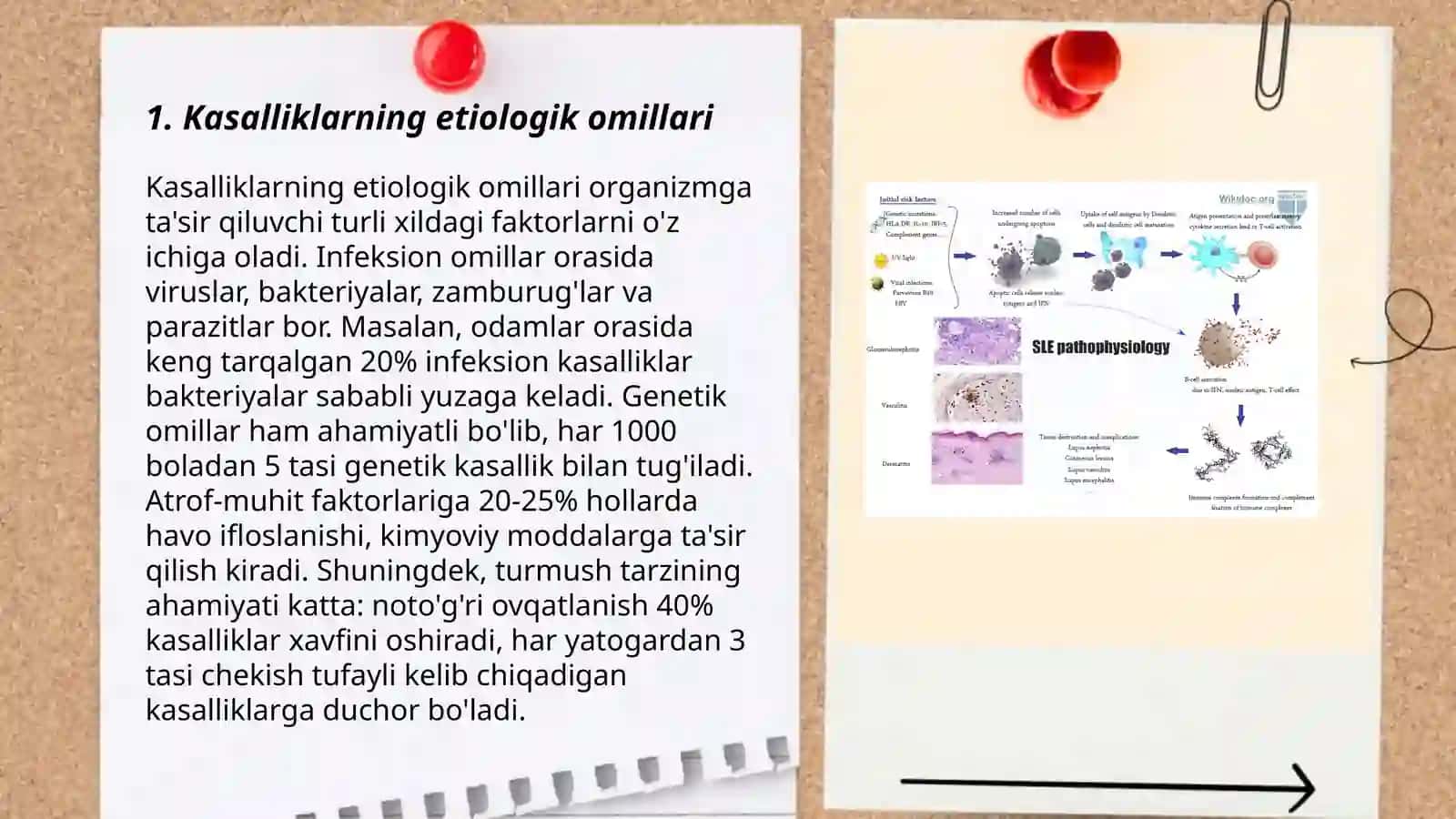 Kasallik etiologiyasi patogenezi rivojlanishi 3