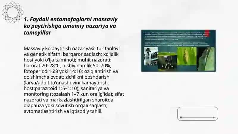 Foydali entomofaglarni ko'paytirish texnologiyasi 3