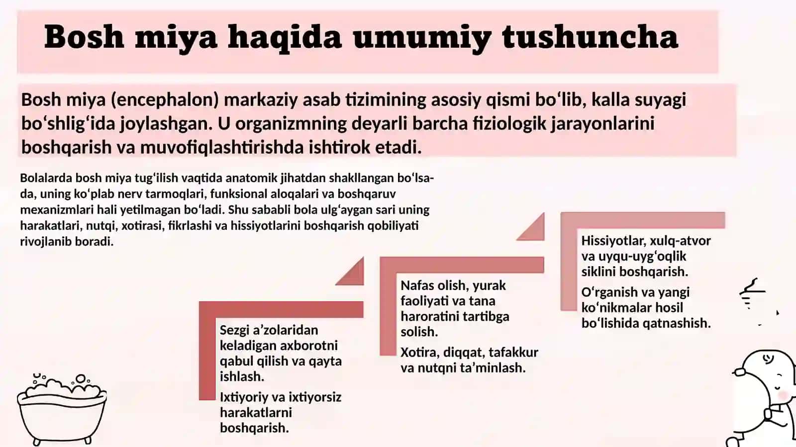 Bolalarda bosh miyaning morfologik va funksional xususiyatlari. Tug'ilgandan keyin markaziy asab t 3