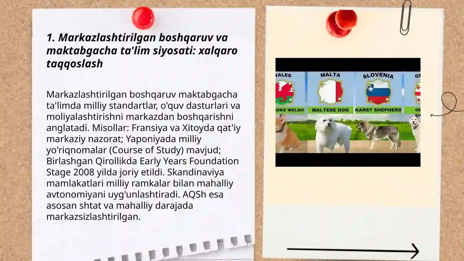 Turli mamlakatlarda maktabgacha ta'limda markazlashtirilgan tashkilotni qo'llash 3