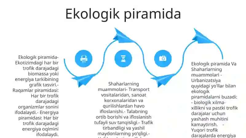 Ekologik Piramida Va Shaharlarning Muammolari 3