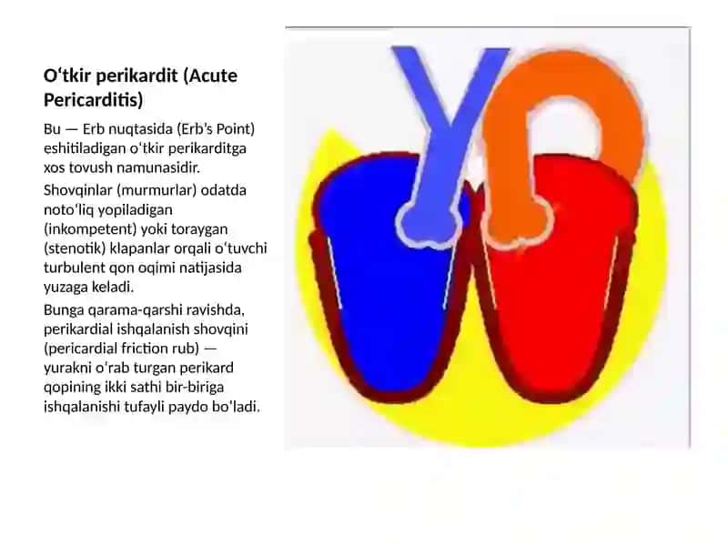 Yurakdagi patologik shovqinlar 3