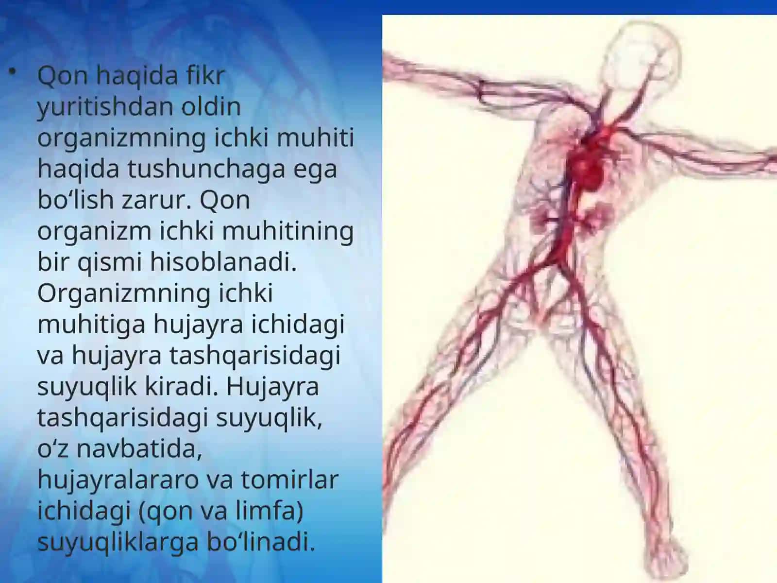 Organizmning ichki muhiti. Qon va uning funksiyasi 3