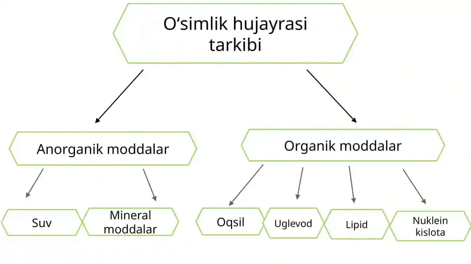 Òsimliklar hujayrasining kimyoviy tarkibi 3