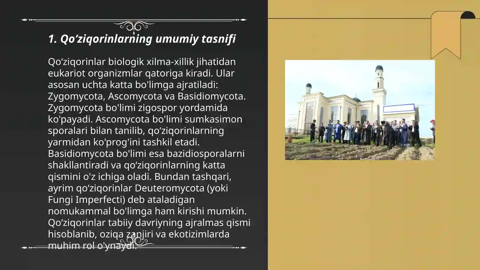 Qoʻziqorin turlari navlari bilan tanishish 3