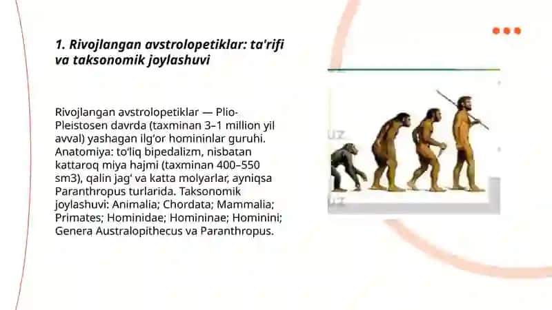 Rivojlangan avstrolopetiklar 3