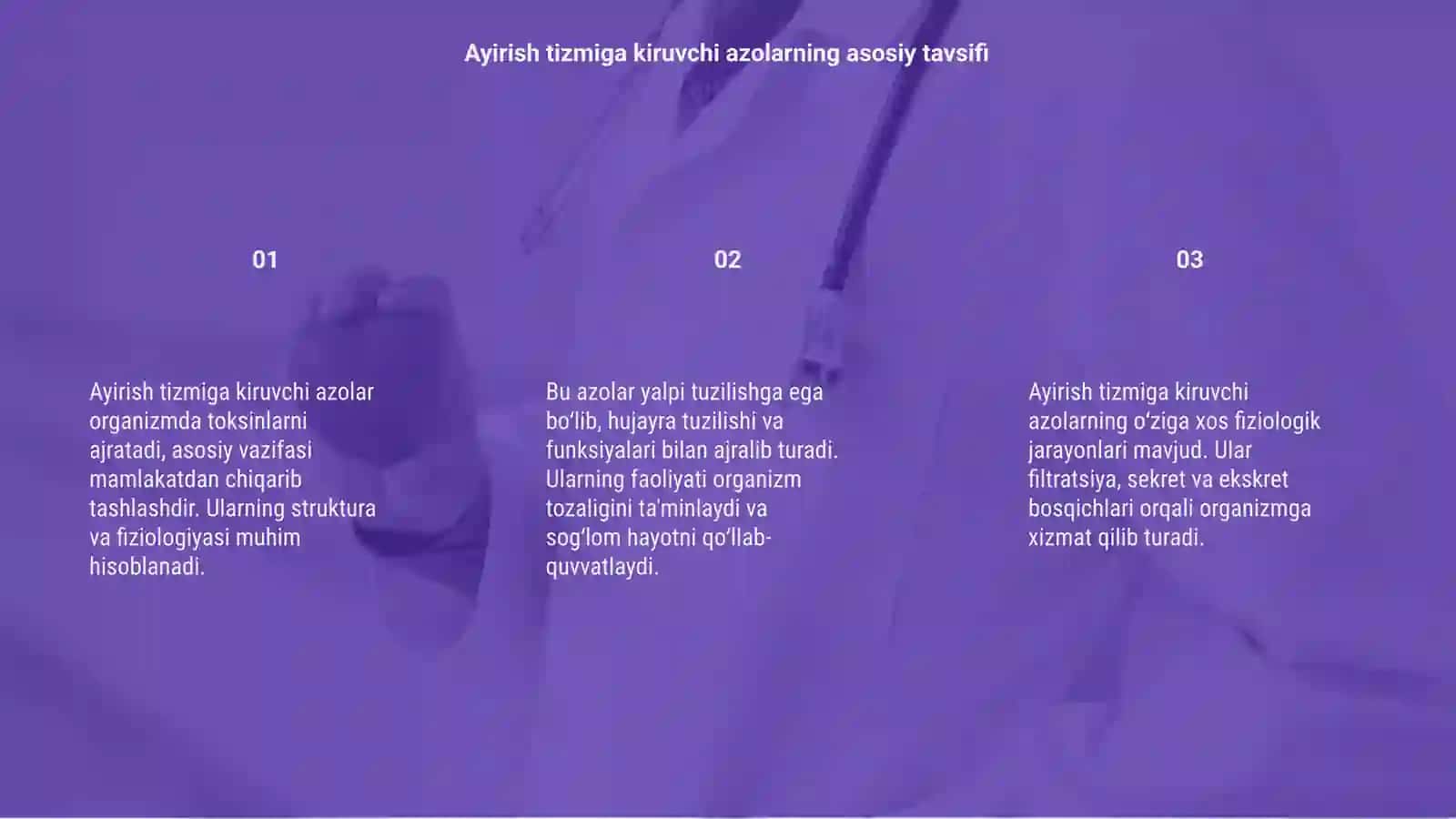Ayirish tizmiga kiruvchi azolarning tuzilishi fiziologiyasi 3