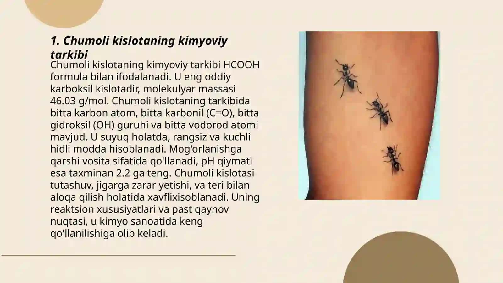 Chumoli kislata 3