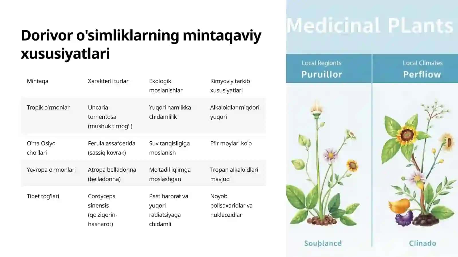 Dorivor o'simliklarning floristik tahlili 3
