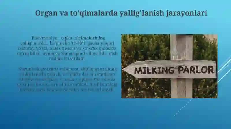 Organ va to'qimalardagi patalogik o'zgarishni belgilari va yakka atamalari 3