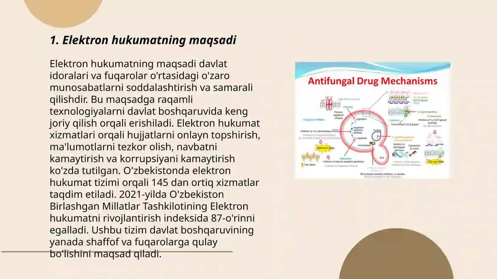 Elektron hukumat maqsadi vazifalari va amal etish mexanizmi 3
