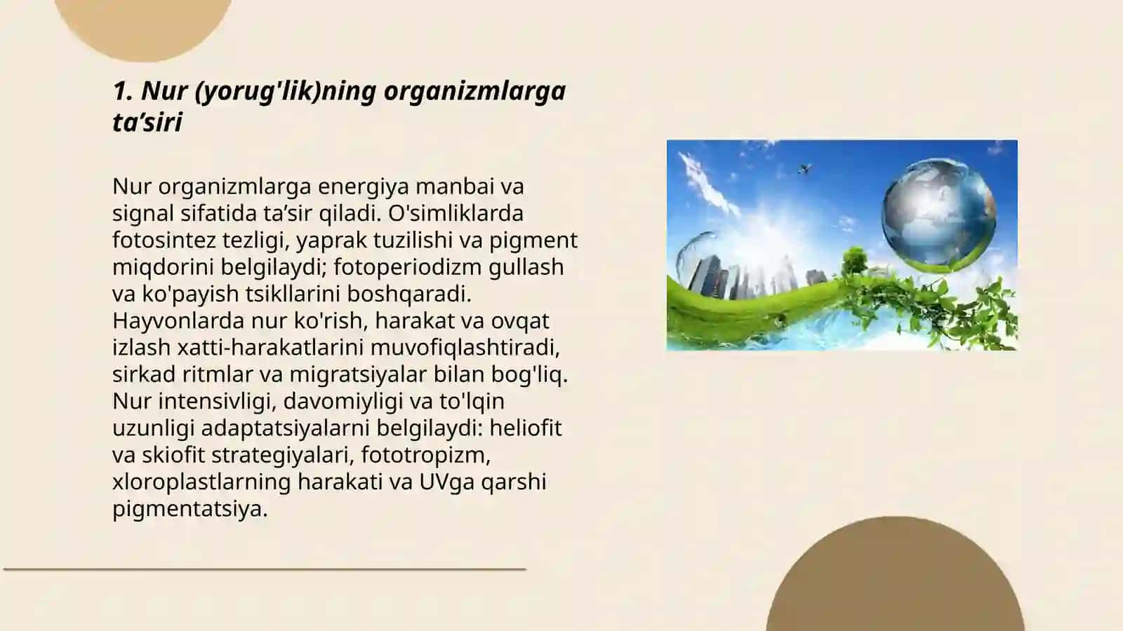 Nur (yorug'lik)ning organizmlarga ta’siri 3