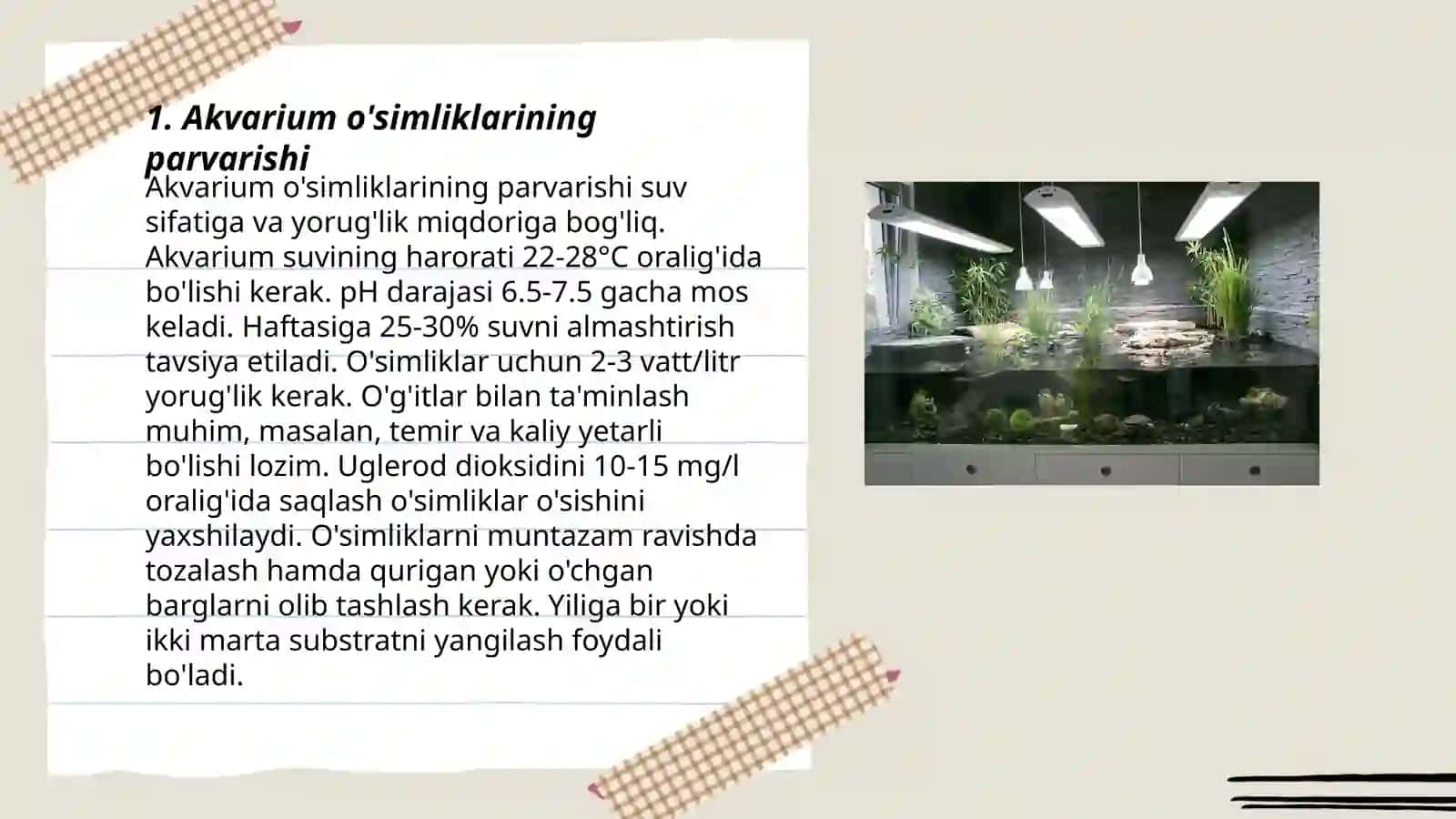 Akvarium va Terrariumda yashovchilarni parvarishlashning shart-sharoitlarini o'rganish 3