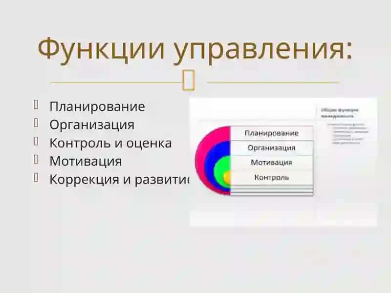 Основы управление образовательными системами . Органы управление школой и их функции. 3