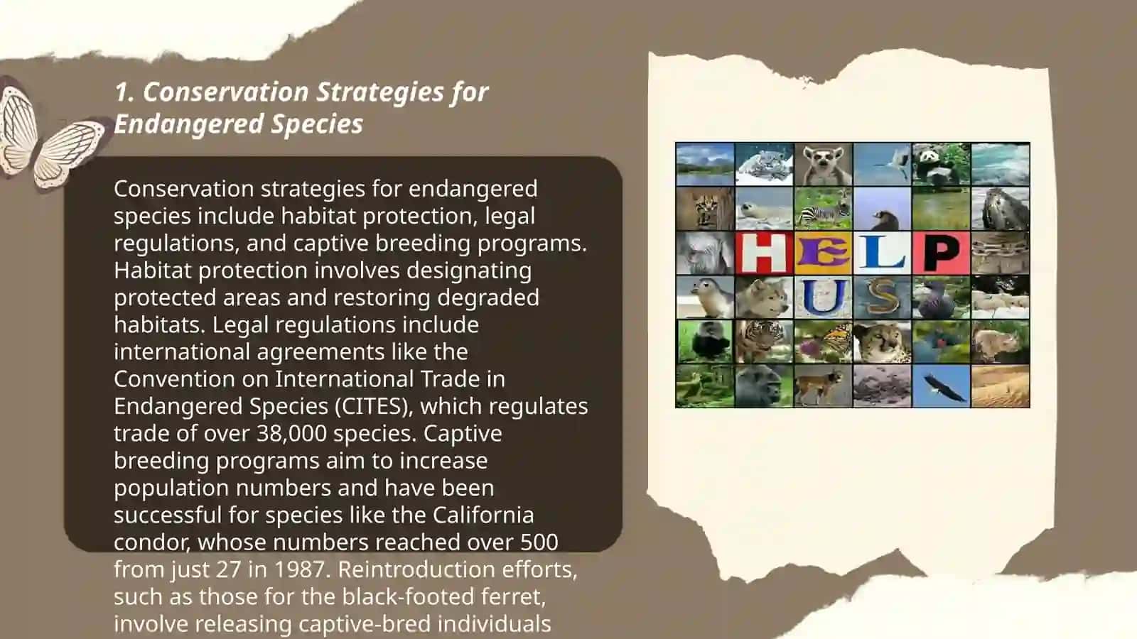 Conservation Strategies for Endangered Species 3