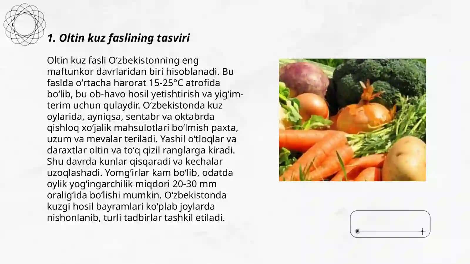 Oltin kuz 3