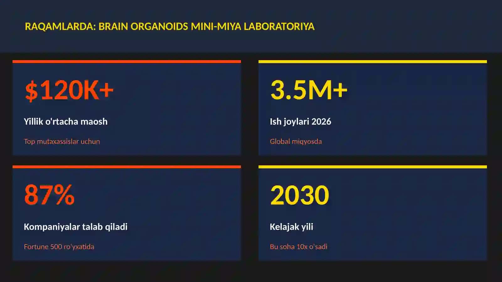 Brain organoids mini-miya laboratoriya 3