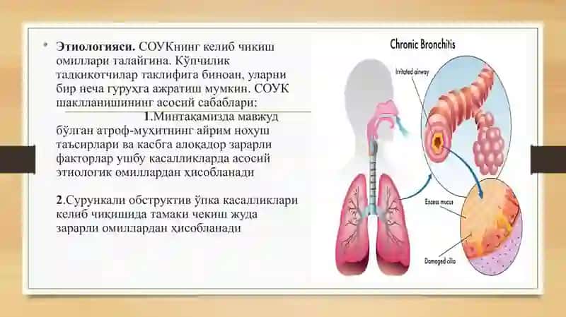 O'pka obstruktiv kasalliklari, sarkoidoz, fibrozlanuvchi alveolit, bronxial astma. 3