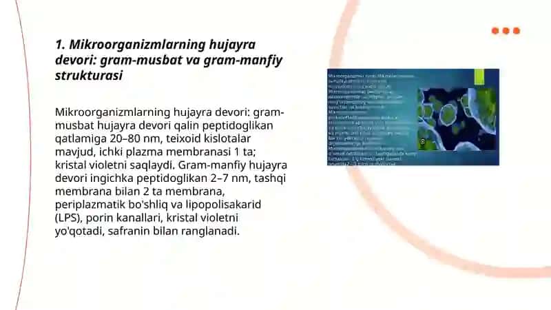 Mikroorganizmlarning strukturasi, murakkab bo'yash usullari. 3