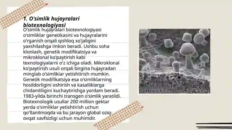 O'simlik hujayralari biotexnologiyasi 3