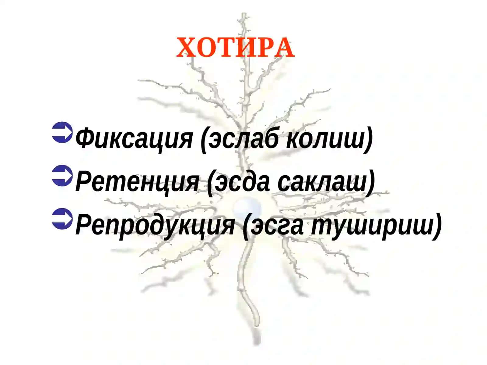 Психиатрия 3