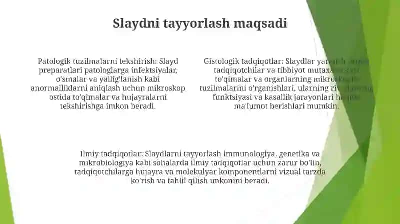 Slayd Tayyorlash 3