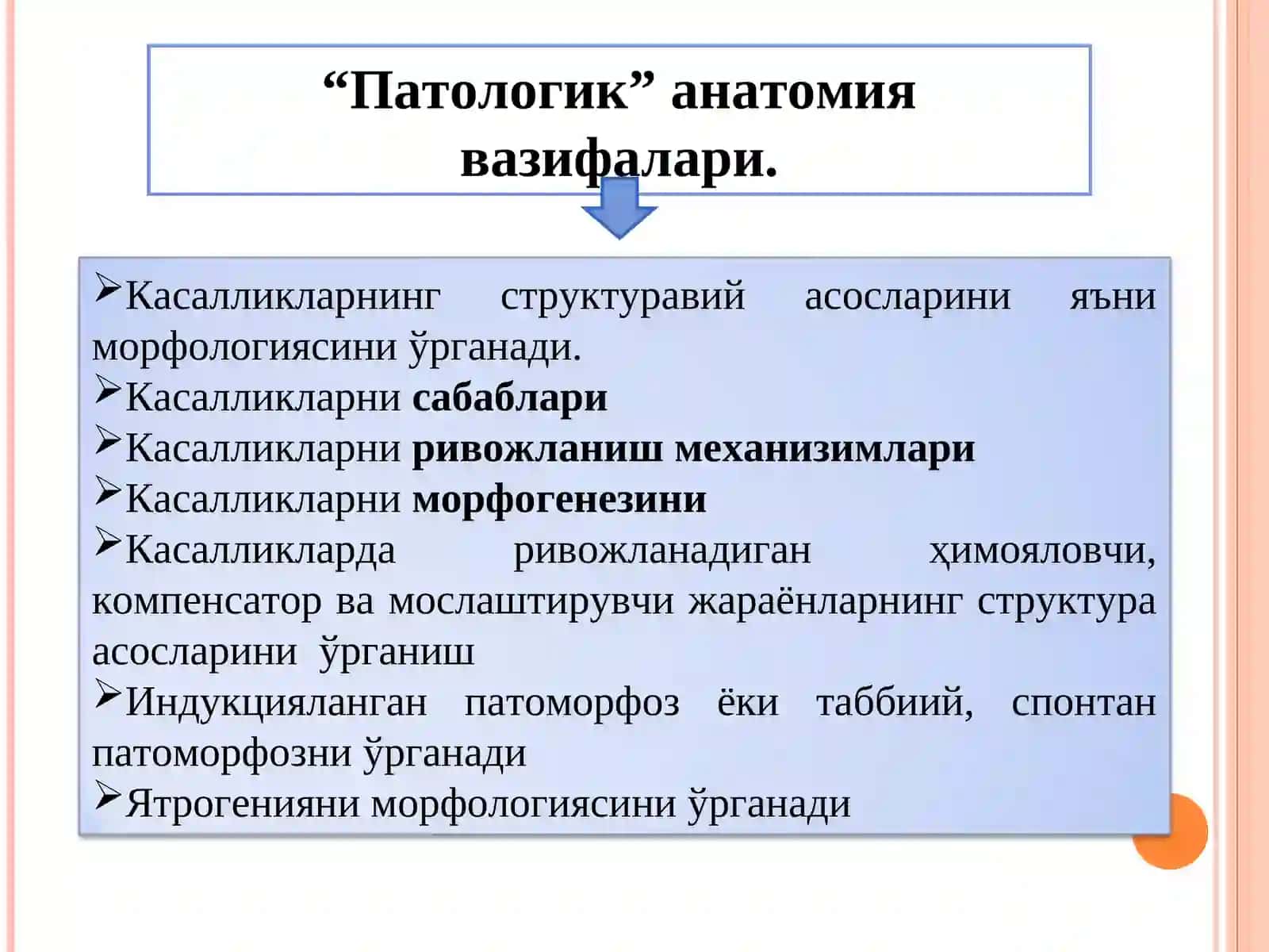 Патология 3
