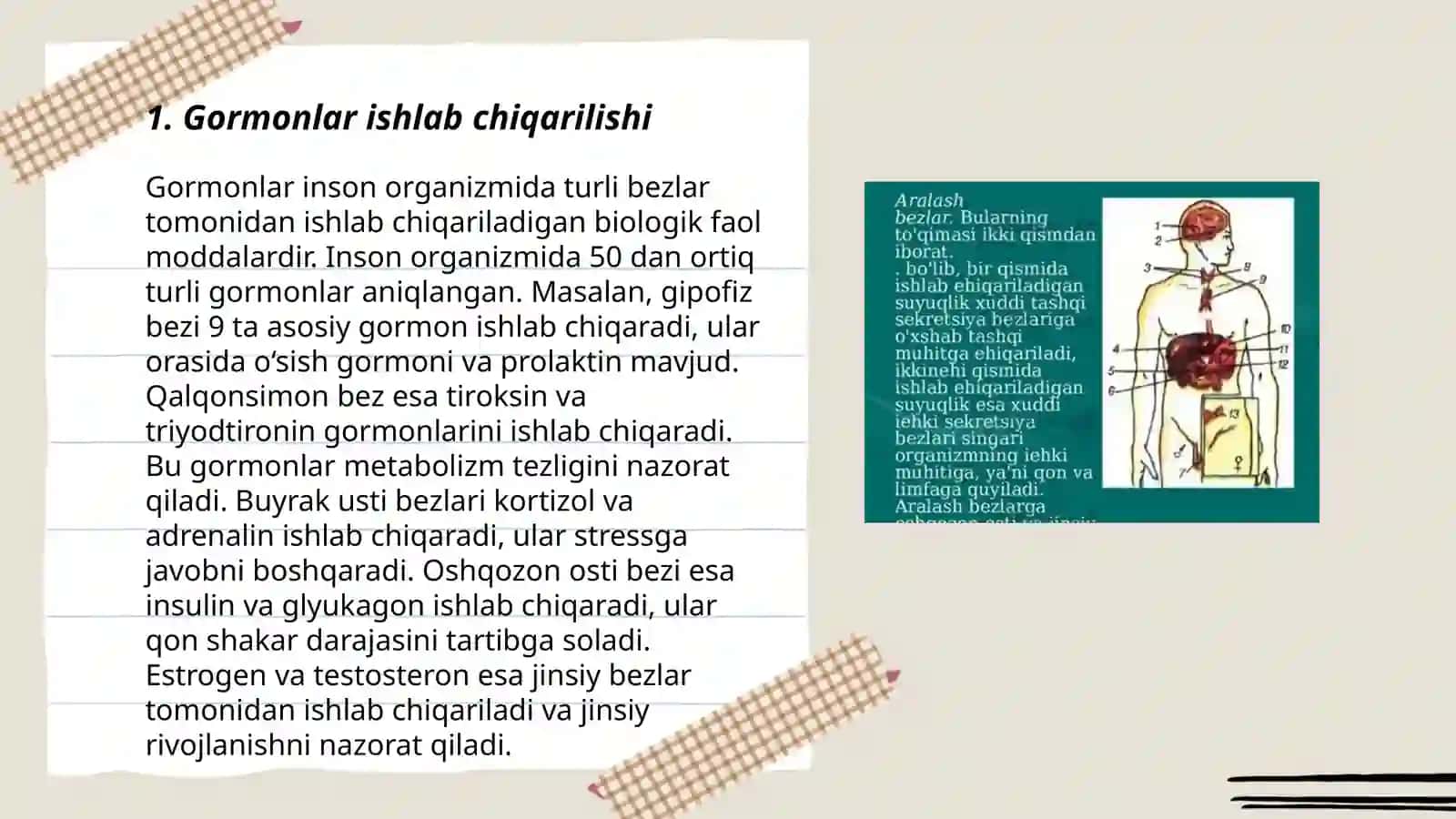 Ichki sekretsiya bezlarining tuzilishi 3