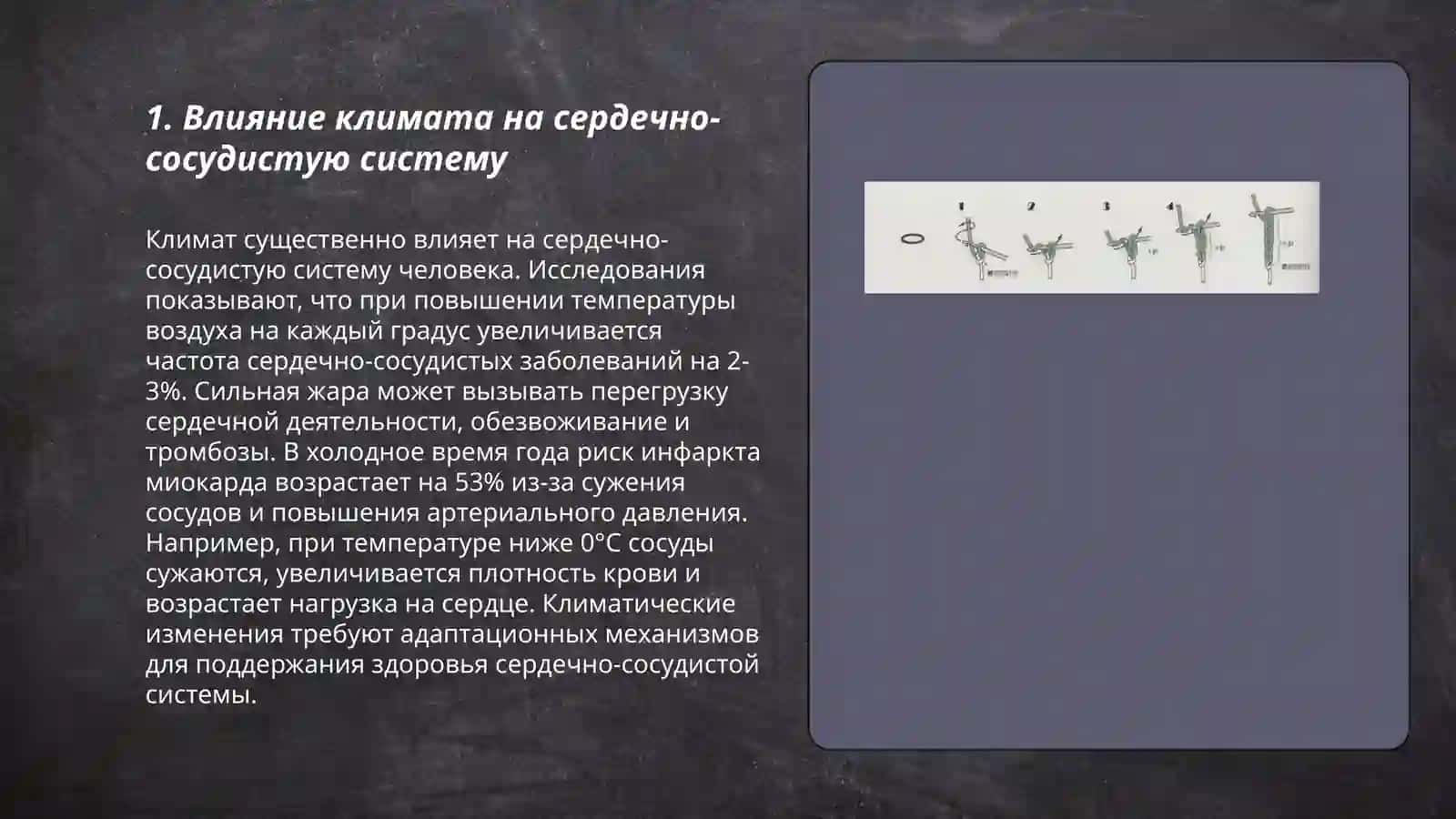 Климатические условия и здоровье человека 3
