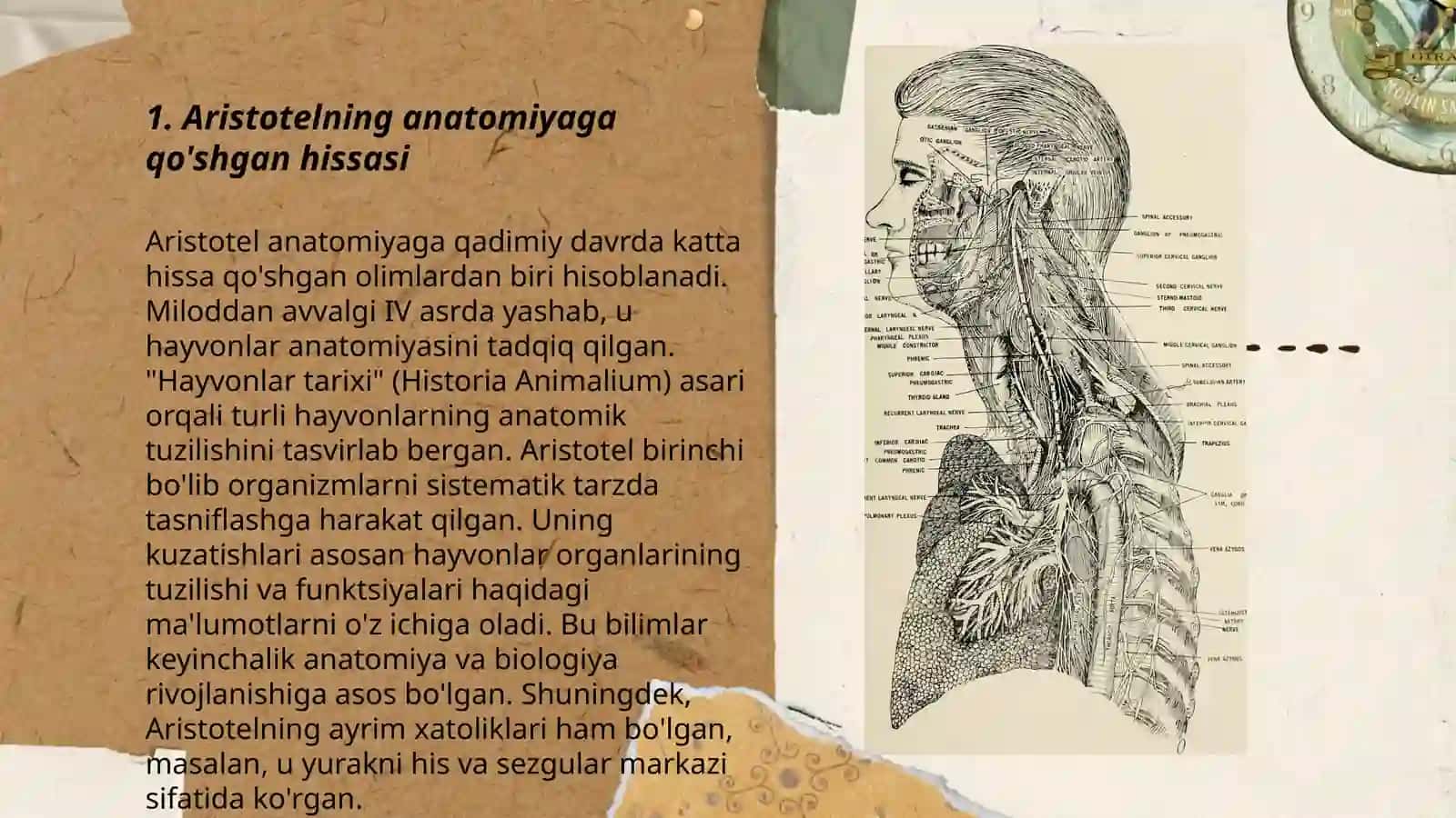 Anatomiya fani tarixi 3