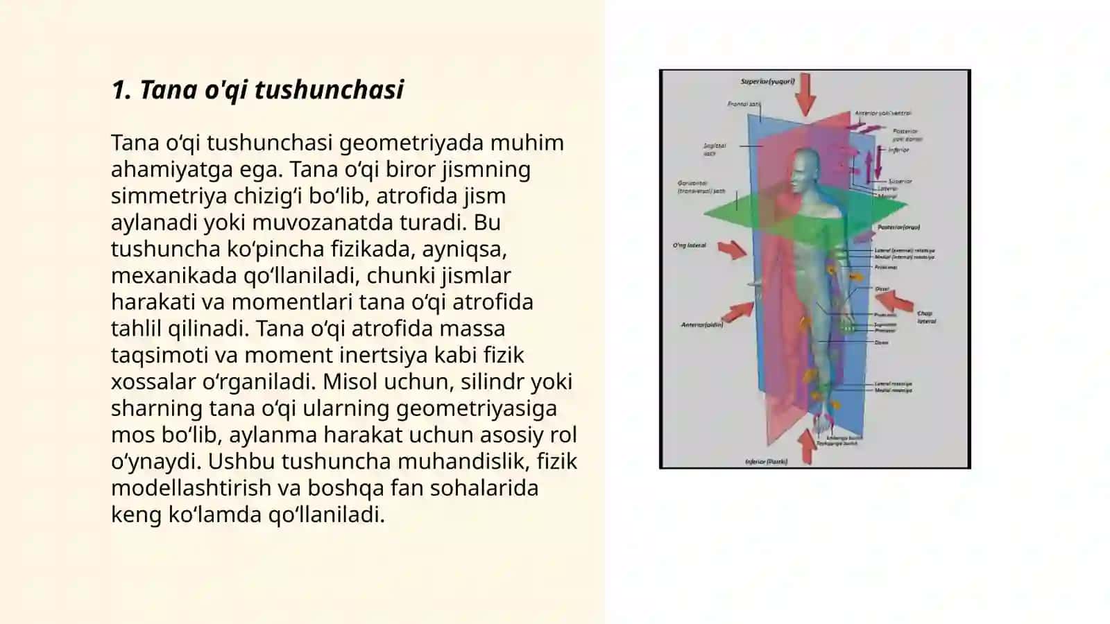 Anatomiya usullari. Tana o'qi va satxlari 3