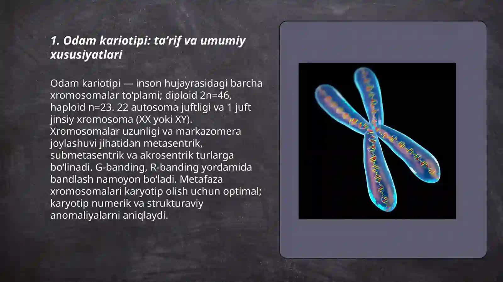 Genetik va stiologik xaritalar odam kariotipi, xromosoma haqida ma'lumot 3