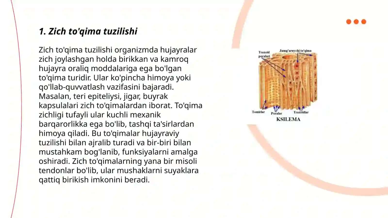 Zich to'qima tuzilishi 3