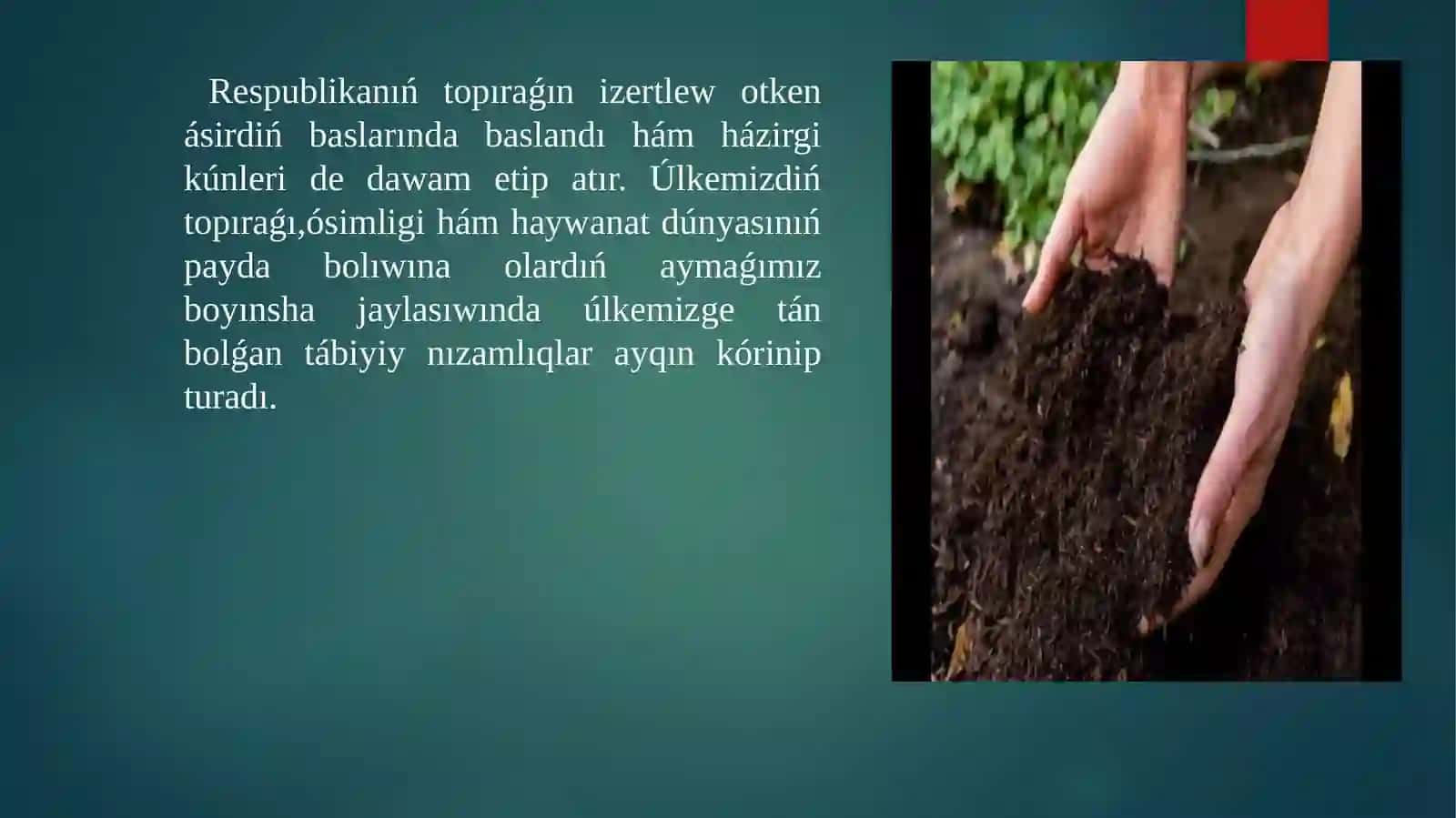 Qaraqalpaqstannin topiraqlari ha’m topiraq resurslari 3