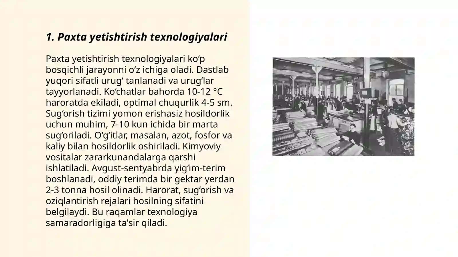 Paxta yetishtirish texnologiyalari 3
