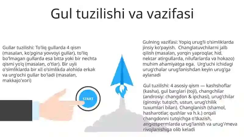 Gullar tuzilishi 3