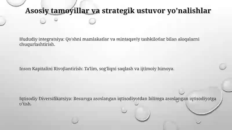 Oʻzbekiston - 2030 "strategiyasi 3