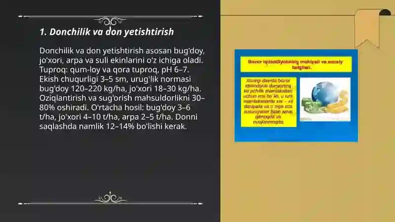 Donchilik va don yetishtirish 3