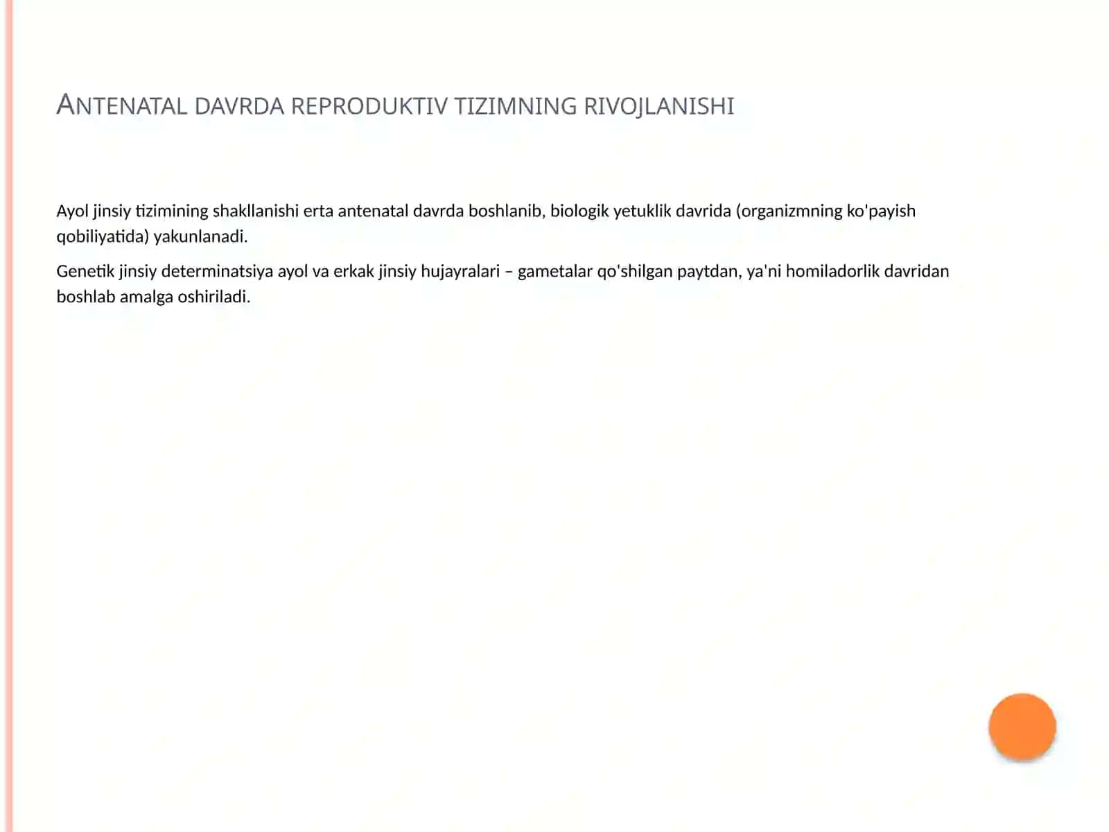 Ayollar reproduktiv tizimining rivojlanishi 3