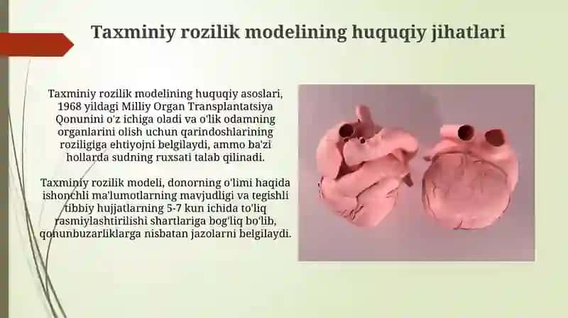 Bioetikaning shakllanishida A.Shveyserning faoliyati Murda donorligida rozilik prezumpsiyasi modeli 3