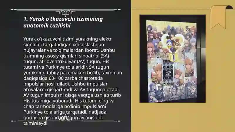 Yurakning oʻtkazuvchi tizimi. Tomirlarning sinflanishi, devorini tuzilishi 3
