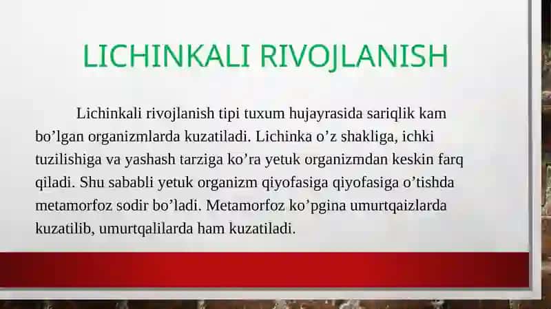 Proemrional rivojlanish 3