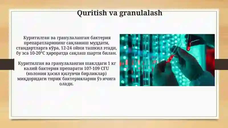 Kaliyli bakterial preparatlar olish texnologiyasi 3