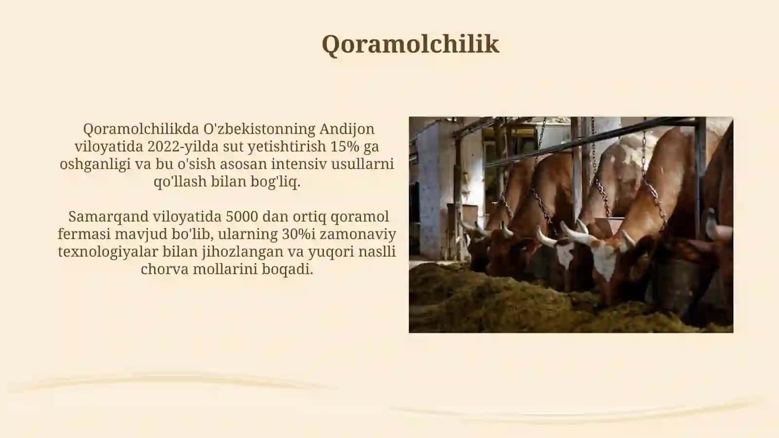 Chorvachiliktarmoqlari 3