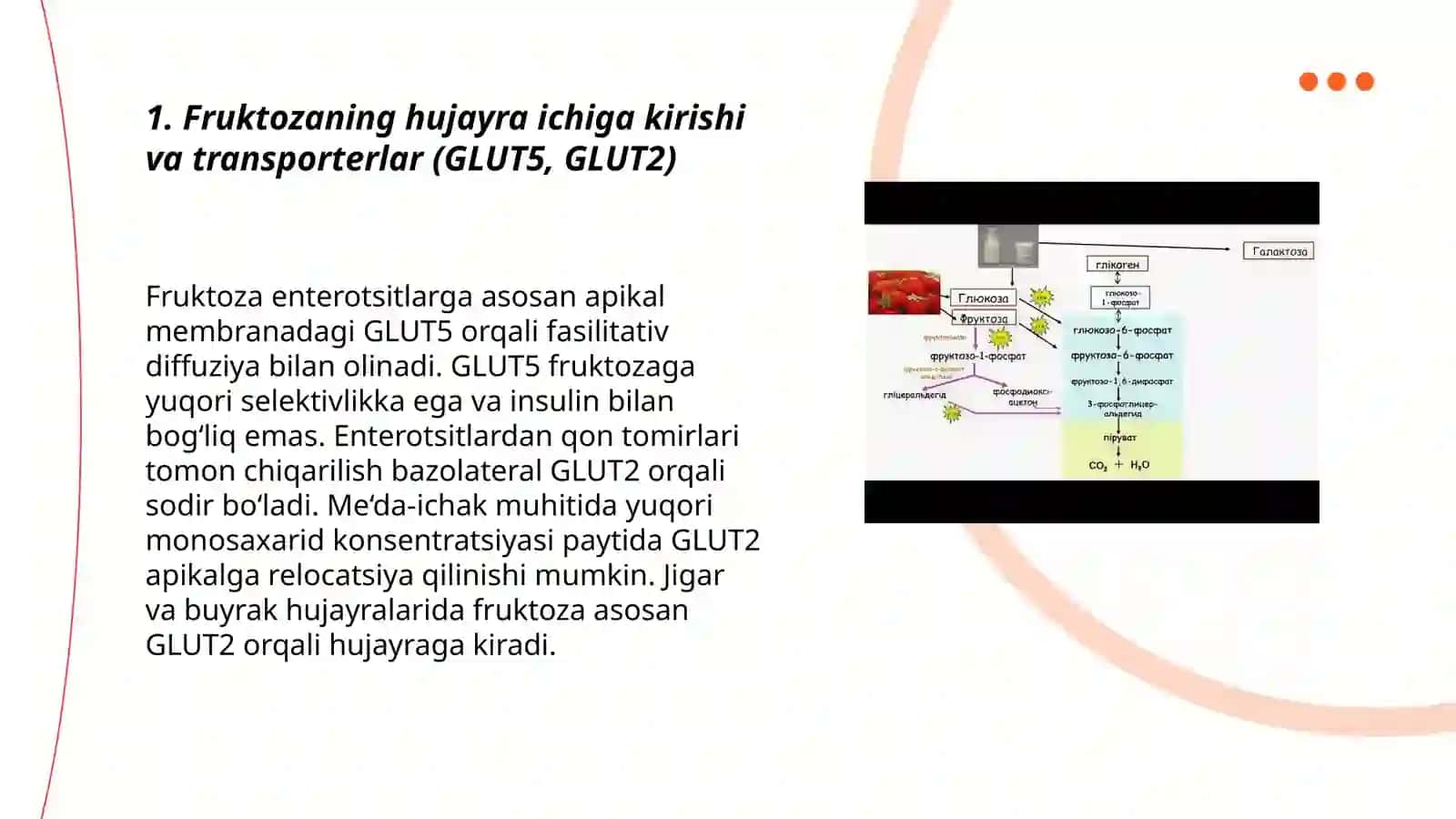 Fruktoza va galaktoza metabolizmi, uglevod metabolizmining gormonal nazorati, pentoz fosfat yo’lining aksiomi, glyukoproteinlar va proteoglikanlar 3