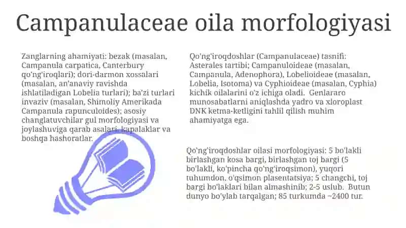 Campanulaceae oila morfologiyasi 3