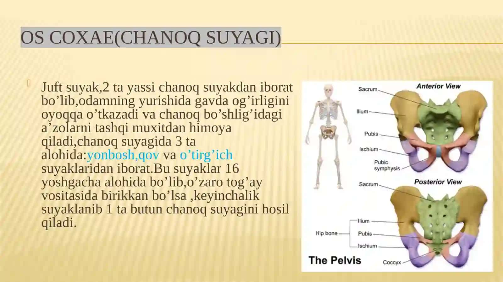 OYOQSUYAKLARI(chanoq) 3