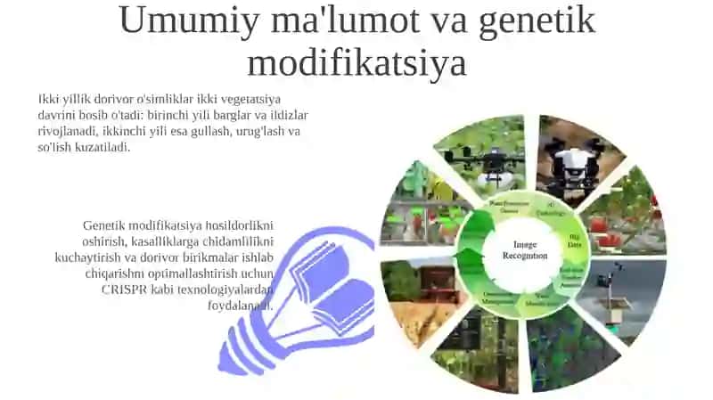 Ikki yillik dorivor o’simliklarni yetishtirish texnologiyasi 3